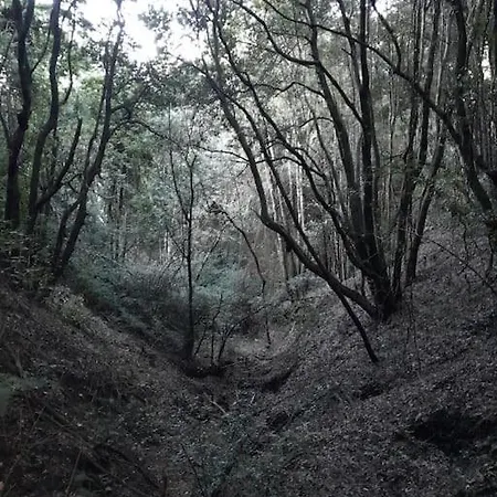 Apartment Marcos Y Tota *