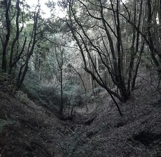 アパート Marcos Y Tota *